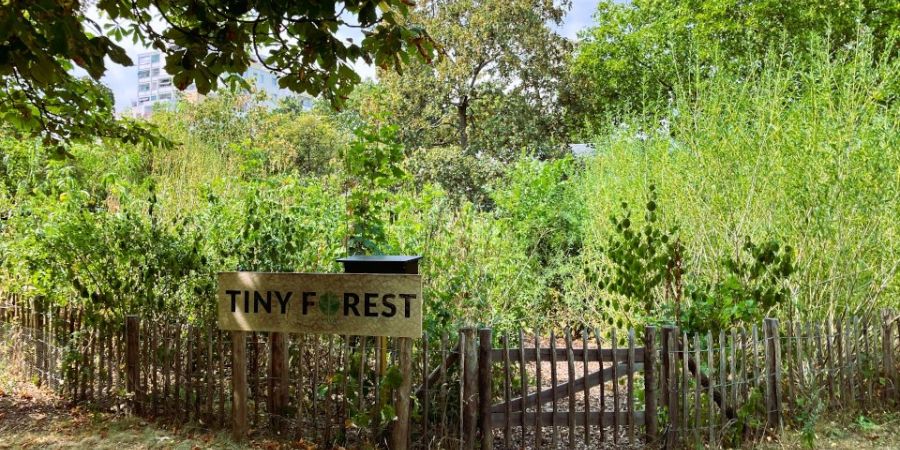 Erster Tiny Forest der gewobau