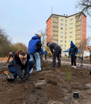 Pflanzaktion des dritten Tiny Forest hinter dem Haus Spitzwegstraße