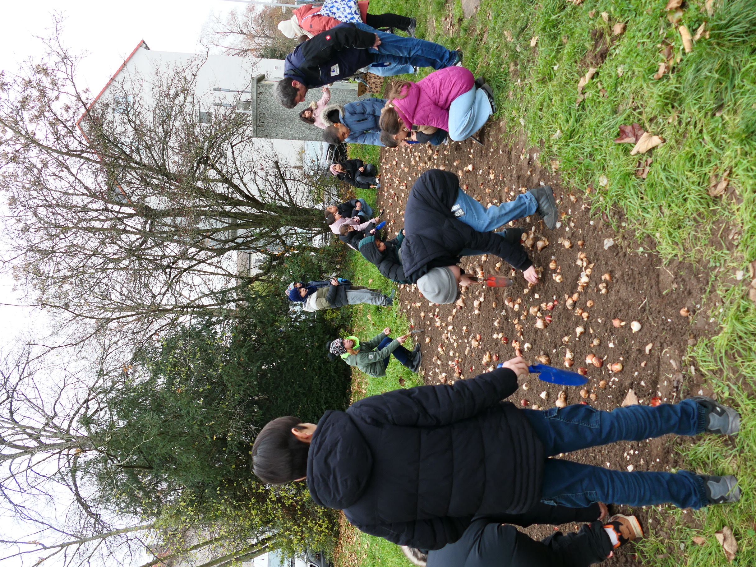Jörg Gundert und die Kinder der Goetheschule bei der Pflanzaktion in der Georg-Treber-Straße
