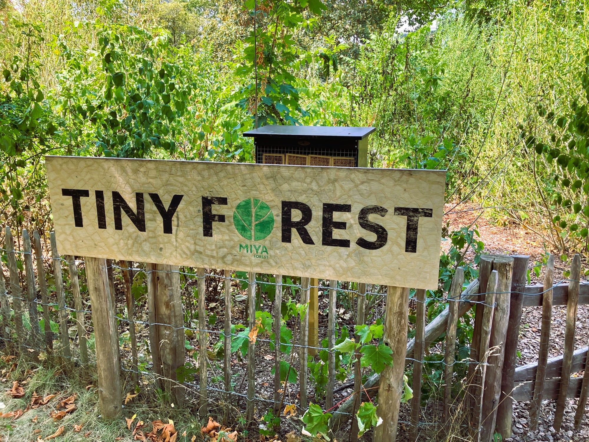 Nachhaltigkeitsbericht 2026 Tiny Forest
