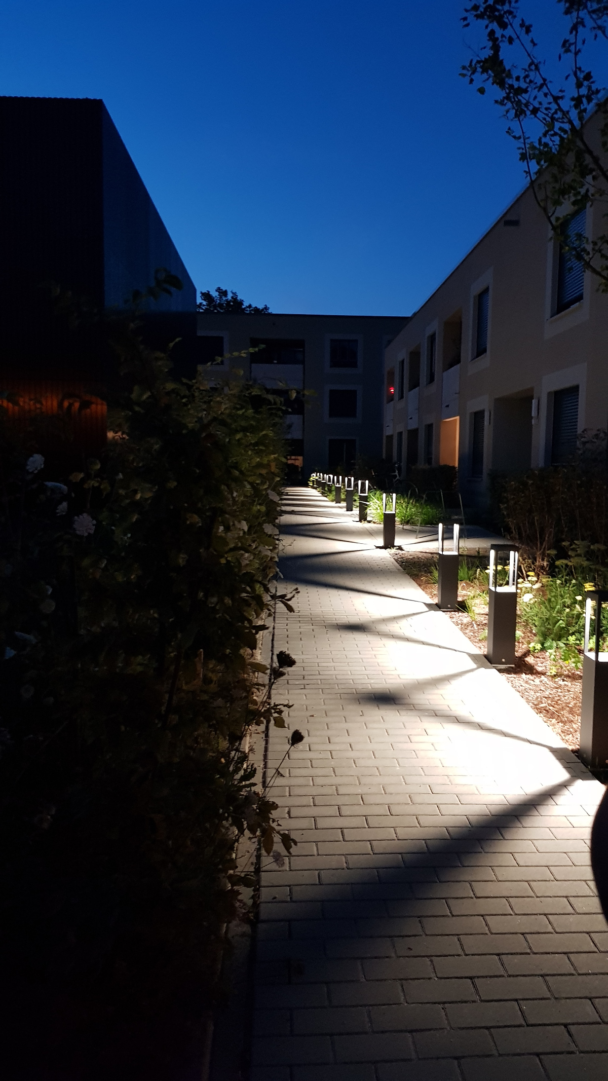 Die neue Außenanlage am Abend mit Beleuchtung