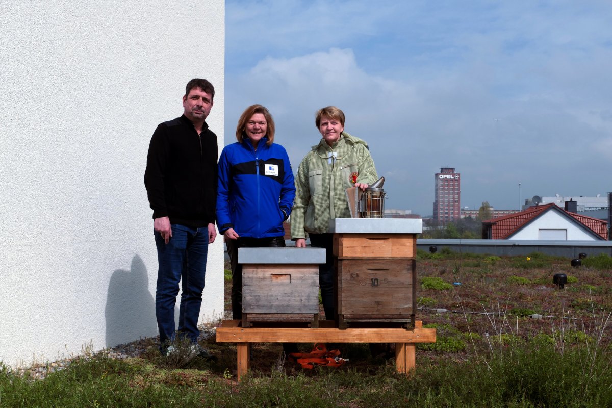 Jörg Gundert und Anke Luciano von der gewobau heißen  die Bienen von Andrea Gläsener willkommen
