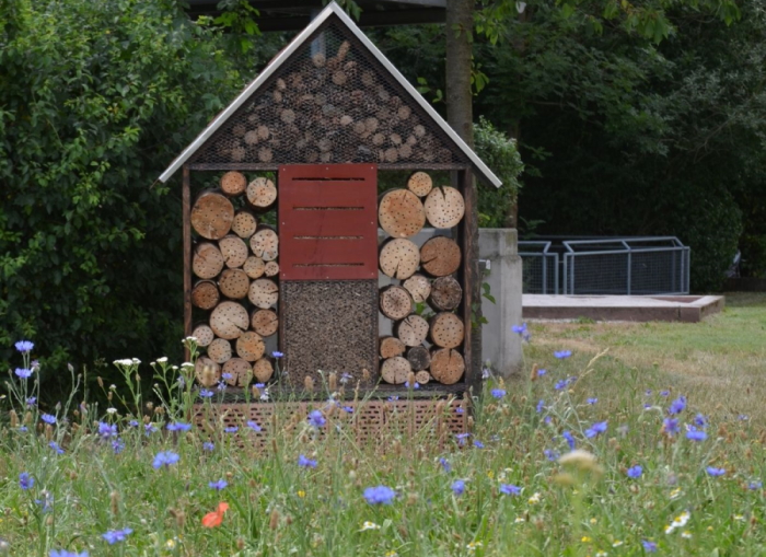 Bild zeigt ein Bienenhotel auf einer Wiese