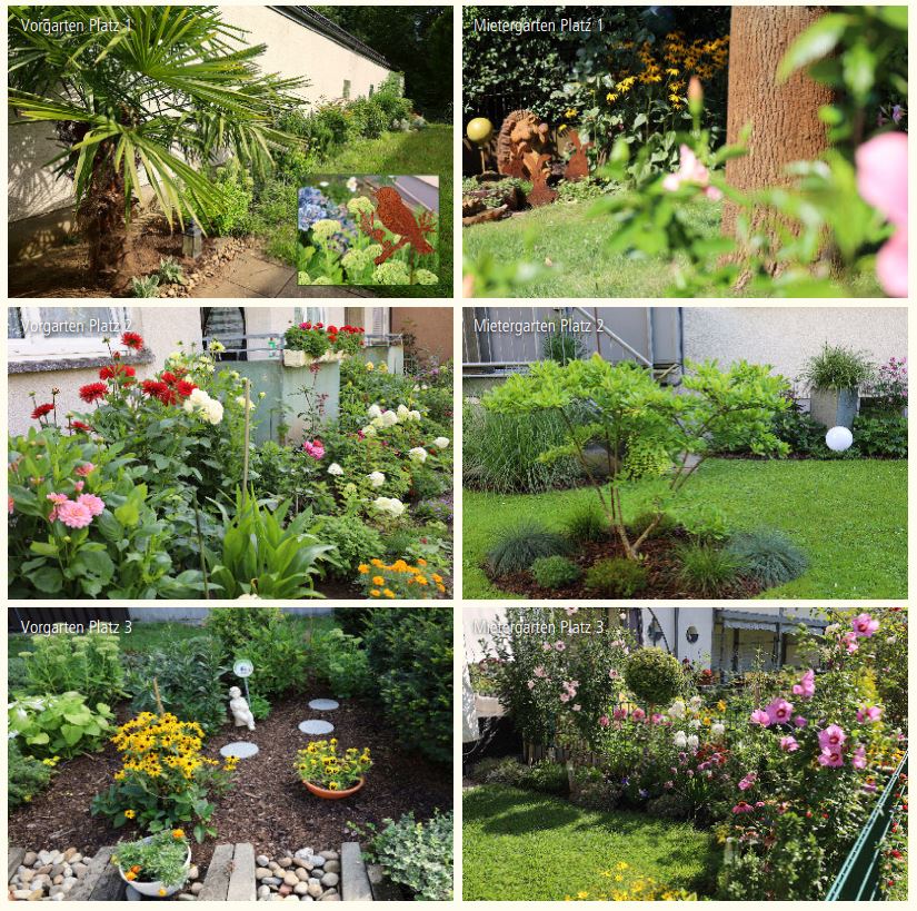 Bildercollage der prämierten Mietergärten 2024