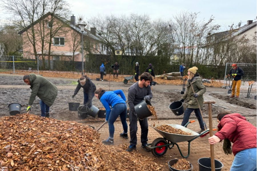 Viele helfende Hände bei der Pfnazung des dritten Tiny Forest