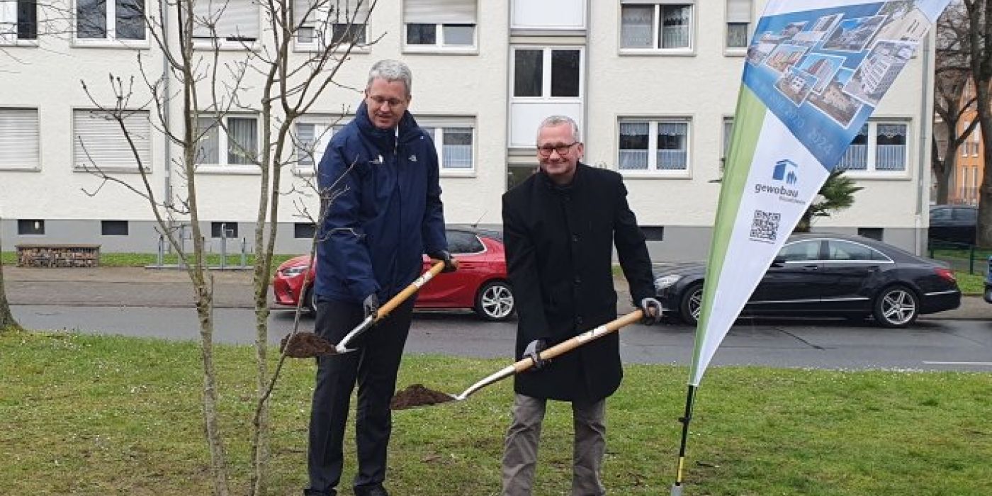 Oberbürgermeister Patrick Burghardt und Geschäftsführer Torsten Regenstein pflanzen den Jubiläumsbaum am Böllenseeplatz