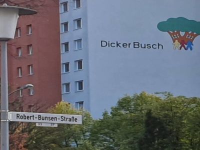 Bild des Logos Dicker Busch an der Fassade in der Robert Bunsen Straße