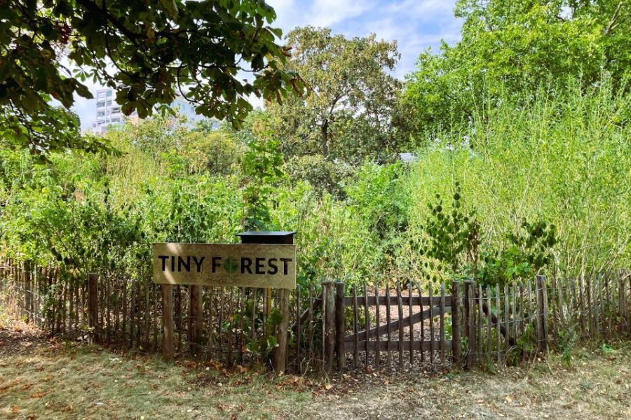 Erster Tiny Forest der gewobau