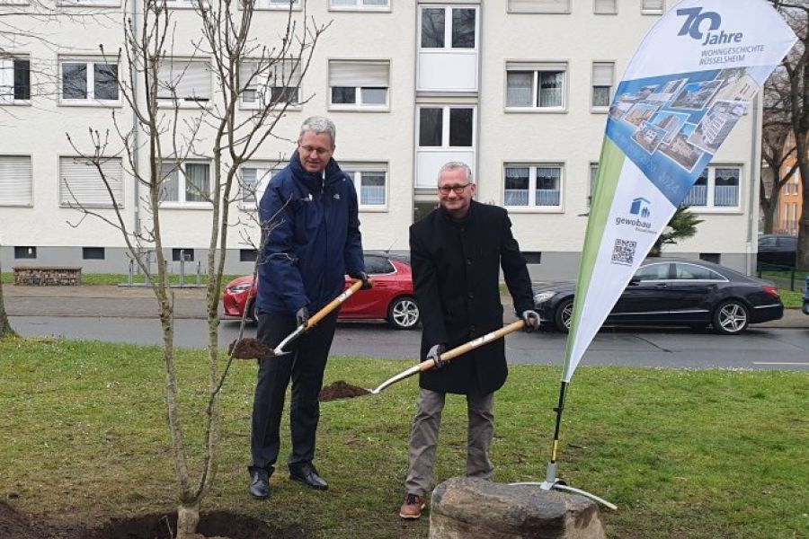Oberbürgermeister Patrick Burghardt und Geschäftsführer Torsten Regenstein pflanzen den Jubiläumsbaum am Böllenseeplatz