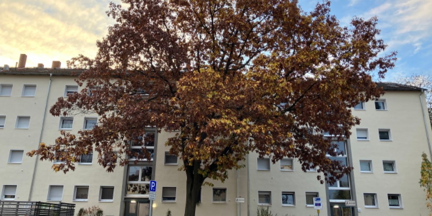 Die Wohngbäude im Berliner Viertel wurden energetisch ertüchtigt und farblich neu gestaltet.